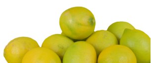 Comprar LLIMES