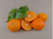 Comprar MANDARINES ECOLÒGIQUES