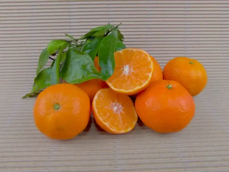 Caixa Mandarines Ecològiques 5 kg