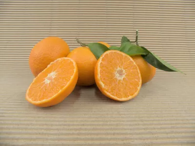 Caixa Mandarines Ecològiques 10 kg