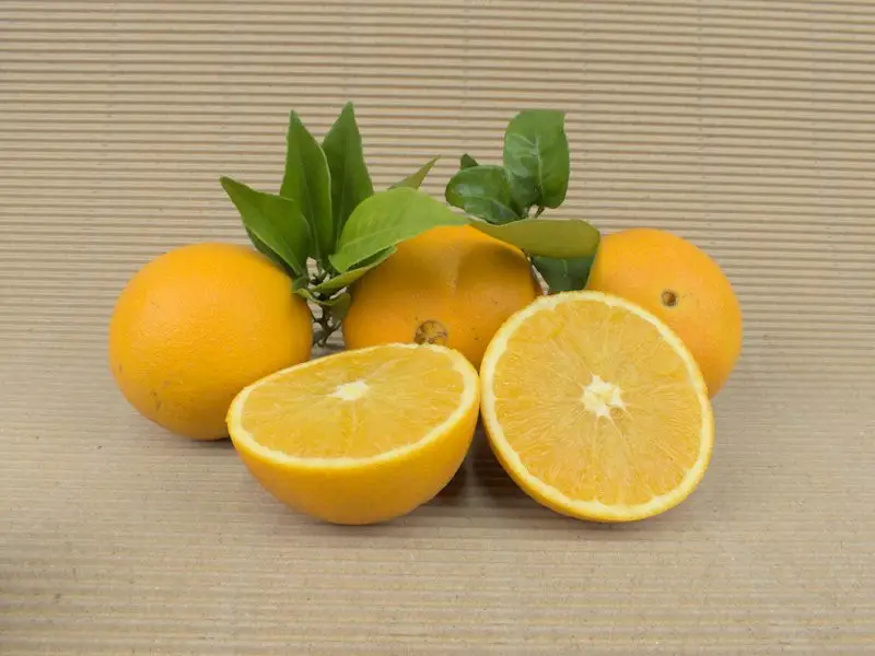 Caixa Taronges Ecològiques 15 kg