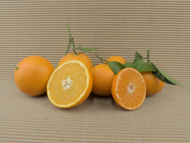 Comprar CAIXES MIXTES image