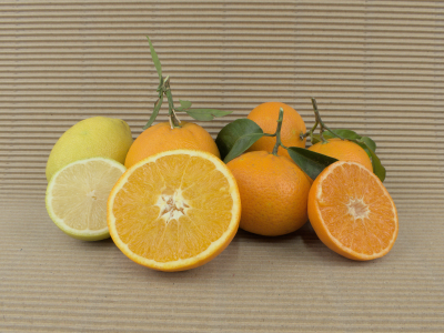 Caixa Mixta 20 kg (13 kg taronges + 5kg mandarines + 2 kg llimes)