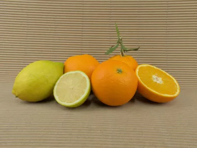 Caixa Mixta 10 kg (8 kg taronges + 2 kg llimes)