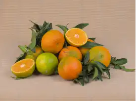 Comprar MANDARINES