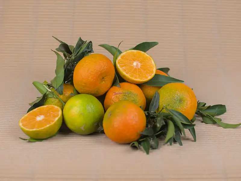 Caixa Mandarines 10 kg