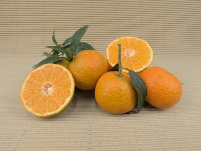 Caixa Mandarines 20 kg