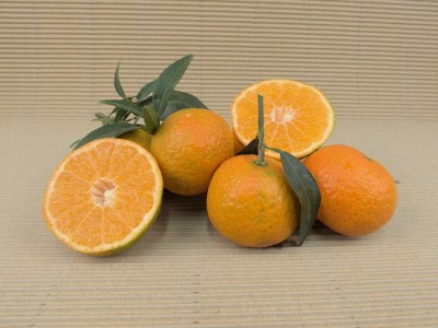 Caixa Mandarines 10 kg