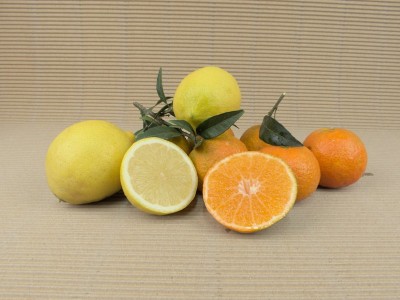 Caixa Mixta 20 kg (16 kg mandarines + 4 kg llimes)