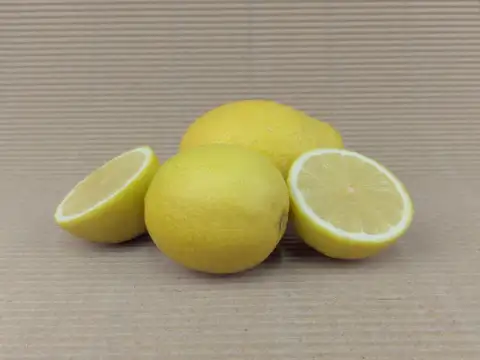 Llimes Verna