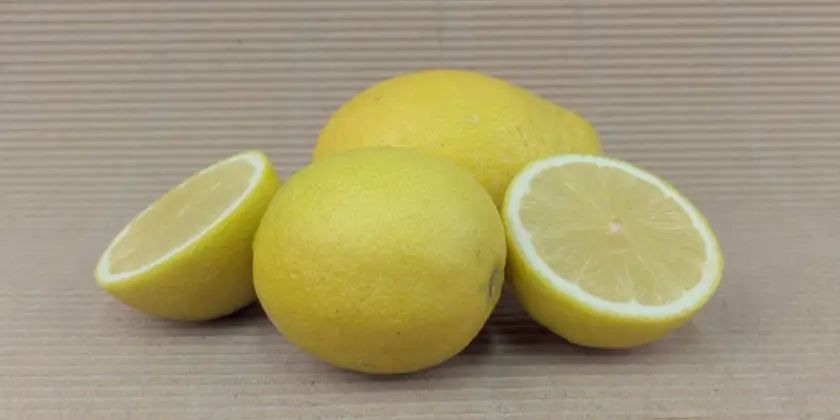 Llimes Verna
