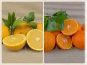 Comprar CAIXES MIXTES ECOLÒGIQUES