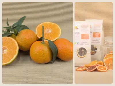 Caixa Mixta 10.1 kg (10 kg mandarines + 100 g cítrics deshidratats)