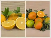 Comprar CAIXES MIXTES