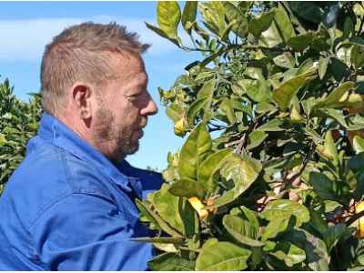 Fran Nicolás: Collidor