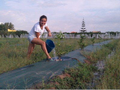 En la nova plantonada