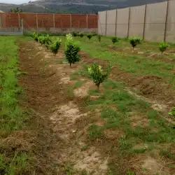 Setembre 2018: En conversió ecològica 1
