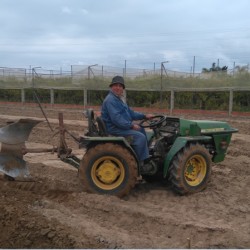 Preparant la terra