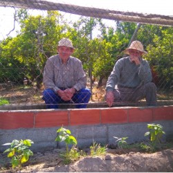 Tomás i Joaquín observant el dia que plantàrem