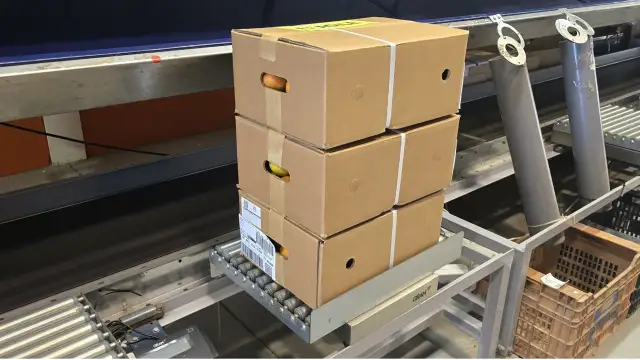 15 kg · 3 paquets