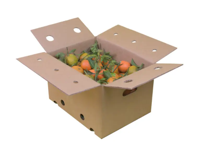 Oli d'oliva verge extra ecològic 12x1L