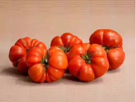 Comprar TOMAQUES