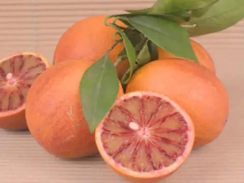 Taronges sanguines Sanguinelli
